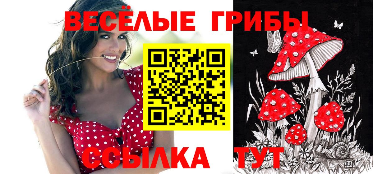 Галлюциногенные грибы Psilocybe  Вход с VPN  Сердобск 